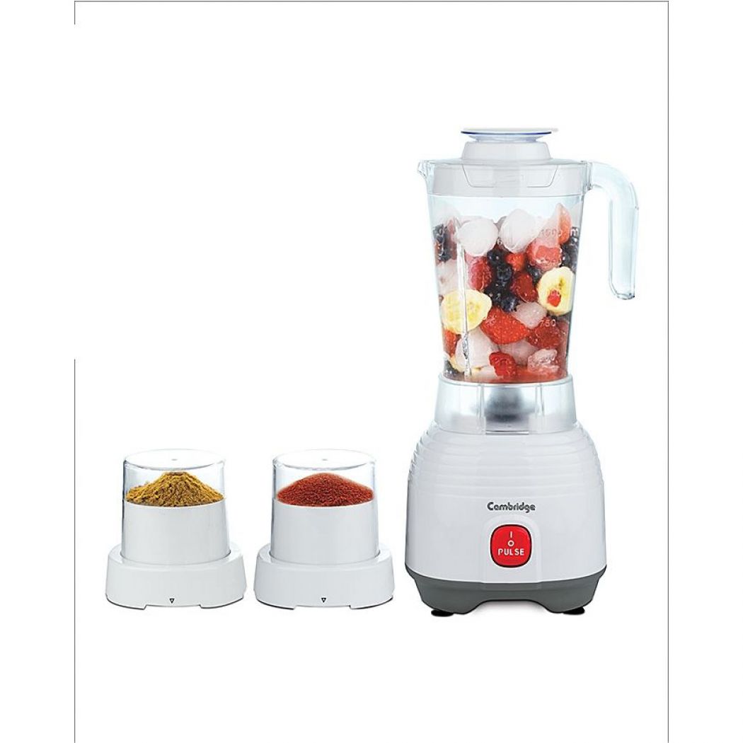 BL217 Blender